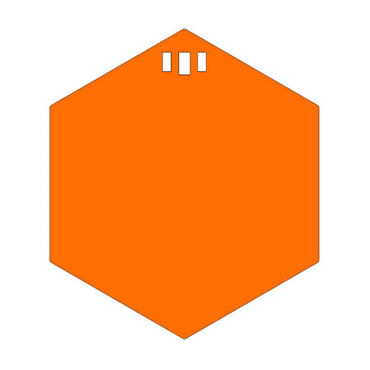 10" Hexigong 1/4" AR550