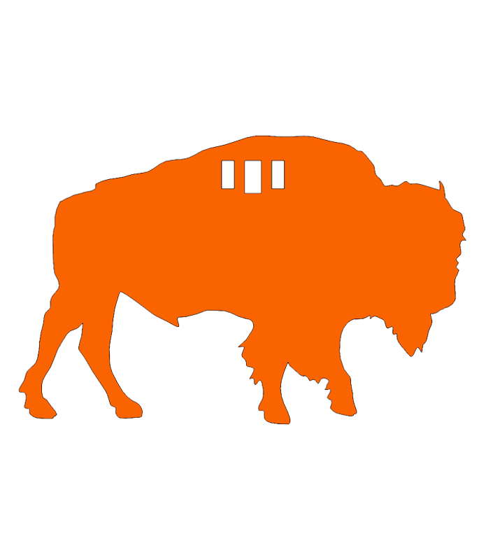 Bison Target