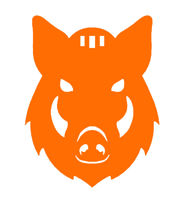 Boar Target
