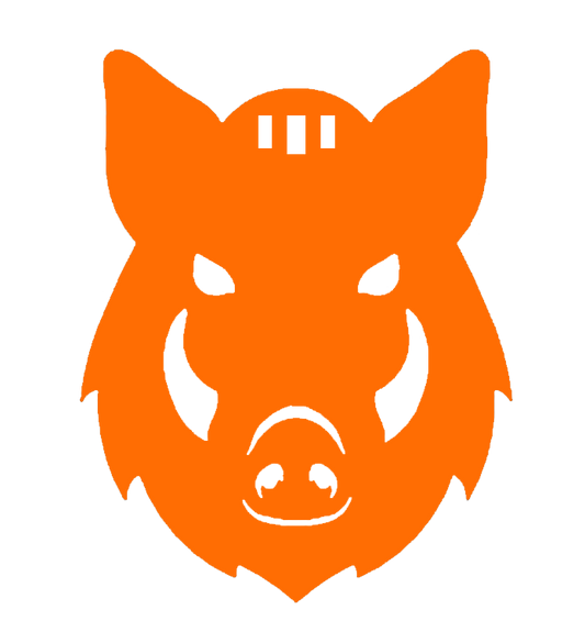 Boar Target